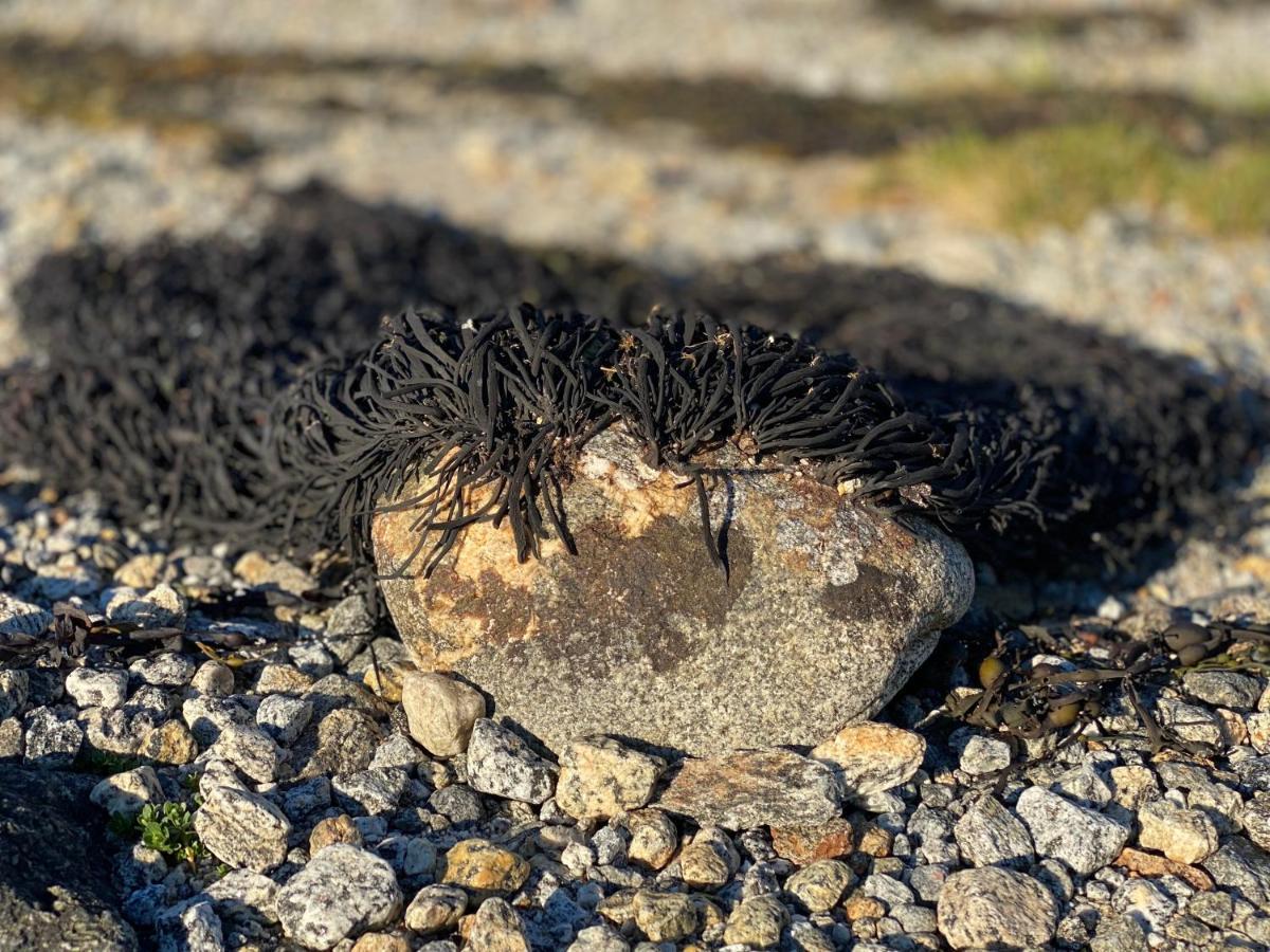 Sørkil Fjordcamping Eksteriør bilde