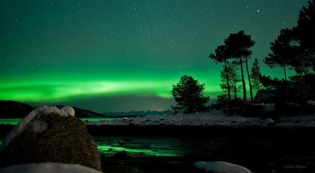 Sørkil Fjordcamping Eksteriør bilde